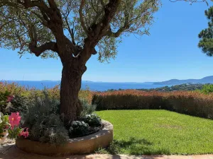 Image of Gigaro - Mas with sea view