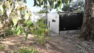 Image of Banksias at Waratah Bay