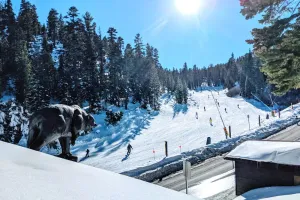 Image of 🎿 Huge Ski In \/ Out with Best Views @ Heavenly! 🐻 The Bear on the Roof - 16ppl