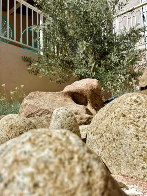 Image of Kamerops Campo