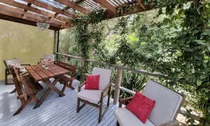 Image of Beach meets Bush