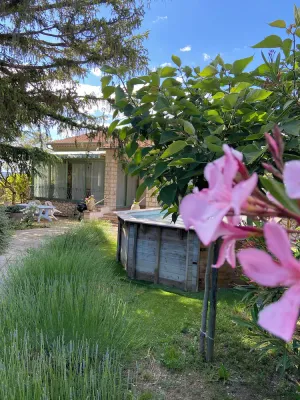 Image of La roseraie Bonnieux