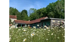 Image of Eco house right on the South Downs Way