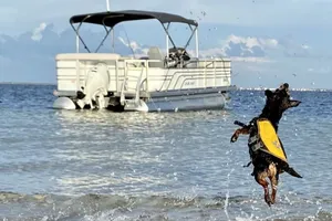 Image of Coastal Escape Awaits: Enjoy a Complimentary Pontoon Boat Adventure!