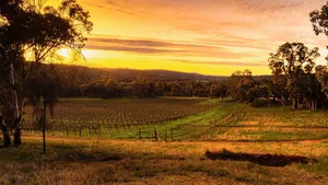 Image of Idyllic Farmhouse overlooking Vineyard on 160 acres