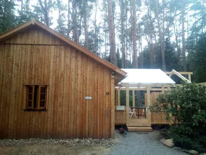 Image of The holiday home \"Ortheide 69\" is located in a forest settlement with large trees.