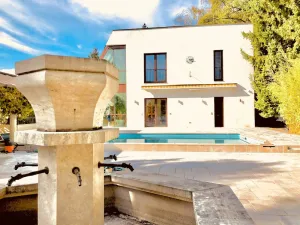 Image of LuxuryVilla 46