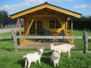 Image of Clausen: 4 bedrooms, 2 bathrooms, lounge, garden - vacation apartment Clausen