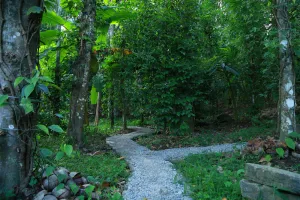 Image of Philip Mary Farm Stay