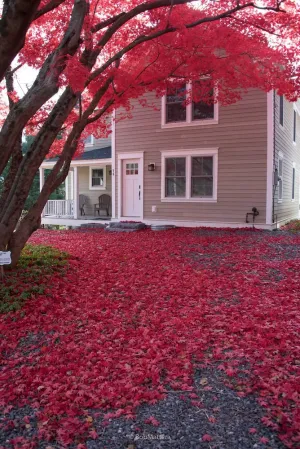 Image of Restored 1881 Farm House