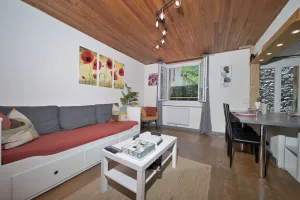 Image of Le Gîte des 3000 avec Spa