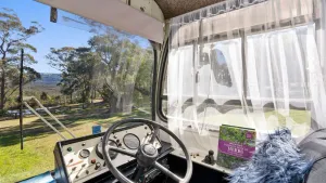 Image of The Old School Bus