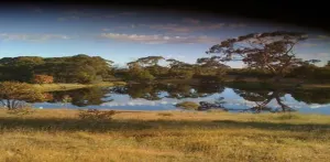 Image of Wings Barossa Bird & Bush Retreat