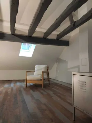 Image of Spacious, fully-equipped, comfortable duplex apartment in Guebwiller