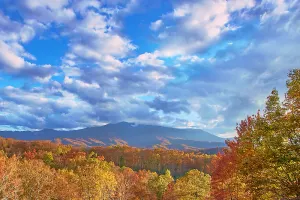 Image of 4 BR Theater Cabin with Mountain Views and Fantastic Location - Sleeps 16