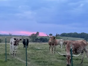 Image of Travel Trailer Farm Getaway!