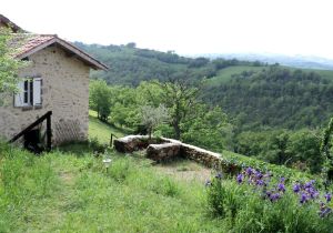 Image of Small stone house near the village of AGNAC (15km from CONQUES)