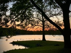 Image of Sunny Cottage: Fire pit, close to biking & walking trails and historic downtown.