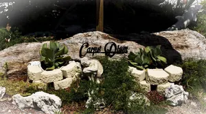 Image of Carpe' Diem Heart of the Fl. Keys Specials