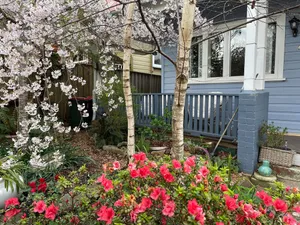 Image of Kedumba Cottage: Gorgeous Home 2 Min Walk to Town