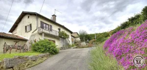 Image of Gîte de la Faneuse - BESSENAY