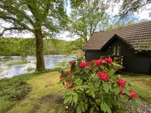 Image of Wooden cabin just for 2 in a private and peaceful woodland