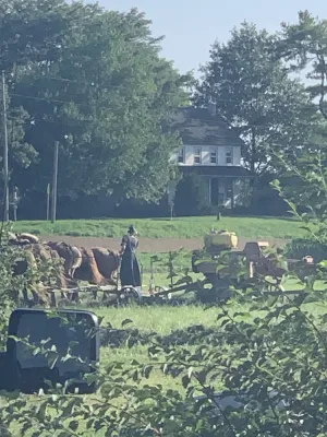 Image of Beautiful Farmland View