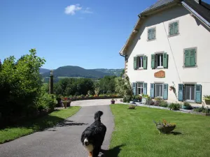 Image of Maison avec salle de jeux et parking privé à Orbey - FR-1-744-25