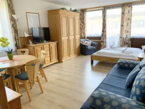 Image of Family-friendly Deluxe Studio Apartment-TOP18