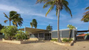 Image of Billfish - Close to town and across from bushland