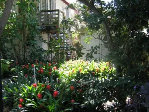 Image of Treehouse 1BR Apt. Near Downtown, Private