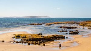 Image of The 20th Hole - Point Lonsdale