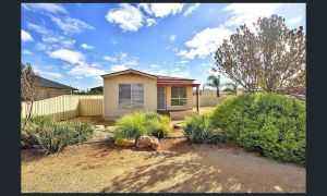 Image of The Palms - Loxton Accommodation, South Australia\n4 bedroom 2 bathroom home.