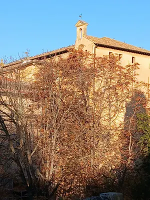 Image of Lisse Studios