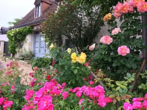 Image of GITE, CHARMING HOUSE CLASSIFIED 3 STARS IN AMBOISE overlooking the Loire