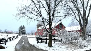 Image of Beautifully restored 1890 barn sleeps 14