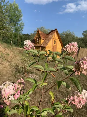 Image of Au Bonheur Comtois unusual cabin with swimming pool
