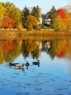 Image of Studio Apt. Lake of the Isles Inn Uptown Minneapolis Furnished Monthly Rental