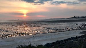 Image of Le Nid, oceanfront cottage