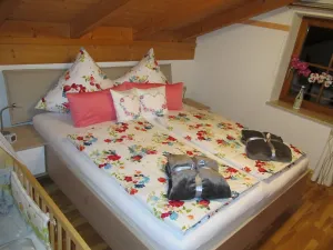 Image of Ferienwohnung 54 qm für 2 Personen