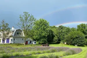 Image of La Soledad Lavender Farm and Guesthouse