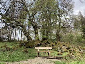 Image of Realx and Adventure in Vogelsberg