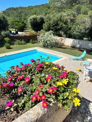 Image of Magnificent villa with swimming pool and enclosed garden with trees