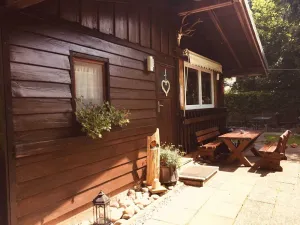Image of OB-holiday house buzzard - holiday house buzzard