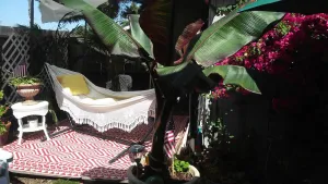 Image of Relaxing Getaway in Historic Benicia
