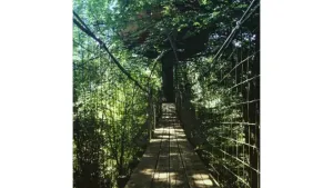 Image of The 8-metre-high Au fil de l'eau hut