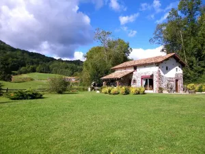 Image of Gaztelia