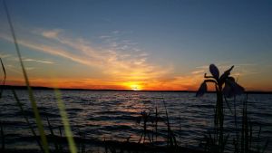 Image of Peaceful Cottage On Milakokia Lake with Saturday Check in to Saturday Check out