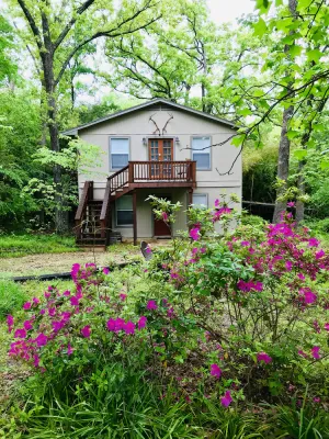 Image of Cozy Cottage in the Woods