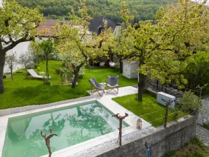 Image of Historic winegrower's house in the Wachau wine region on the Danube with pool & sauna
